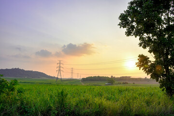 High voltage electricity distribution pole with trees shadow at sunset, electric supply transmission pylon line for energy generator technology industry