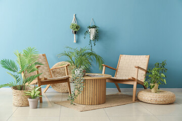 Cozy wicker armchairs, coffee table and houseplants near blue wall