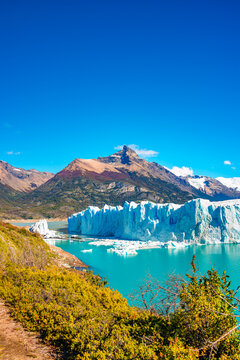 Cover page with big Perito Moreno glacier in Patagonia with blue sky and turquoise water glacial lagoon, South America, Argentina, in Autumn colors