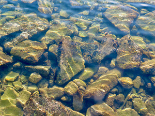 Stones in water. Sea stones in shallow water. View of the rocks at the bottom of the pond through the water.