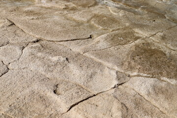 Natural modern abstract background. Vector illustration .