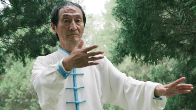Slow motion video of an old and skilled kung foo master practicing his moves in a forest in japan.