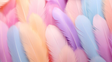 Many pastel-colored feathers of various kinds