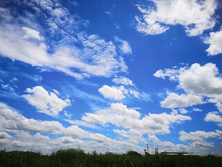 Green meadow and blue sky with white clouds