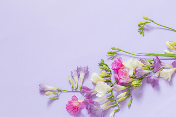 pink, white and purple flowers on light purple background