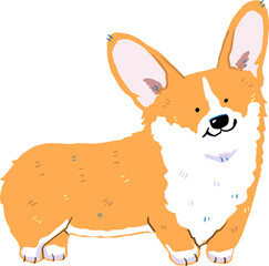 Cute Corgi Dog Character
