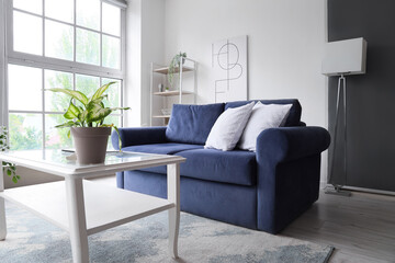 Interior of light living room with cozy blue sofa and houseplant on table near big window