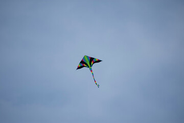 Fototapeta na wymiar kite in the sky