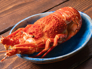 高級食品の茹でた伊勢海老。