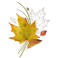 Bouquet of autumn leaves with grass. Deciduous trees and shrubs. Rustic style invitation design. Watercolor illustration isolated on white background for card design.