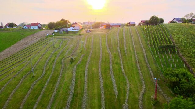 Stunning aerial 4K drone footage of Hranjigovci, ski resort in the municipality of Sv. Tomaž in Prlekija region, Slovenia. Warm video was filmed in summer time at the beggining of the sunset.