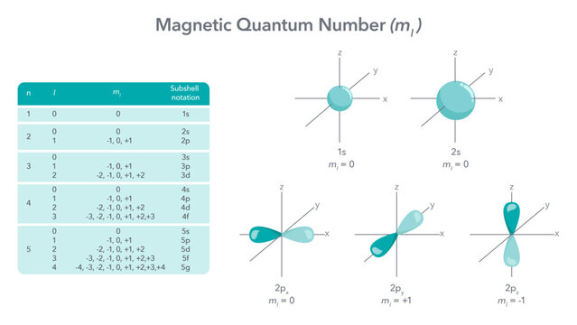 Magnetic quantum number physics vector illustration diagram