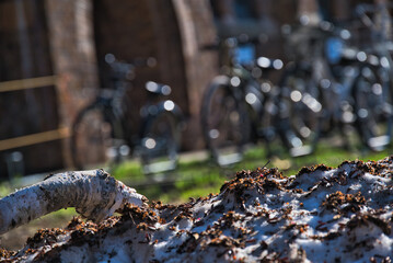 A view of Hokkaido University in Sapporo, Hokkaido, Japan.