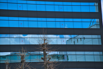 A view of Hokkaido University in Sapporo, Hokkaido, Japan.