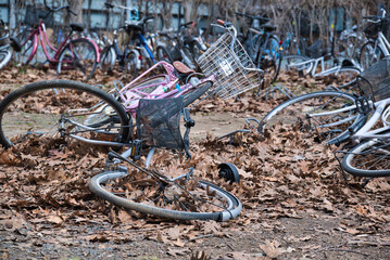 A view of Hokkaido University in Sapporo, Hokkaido, Japan.