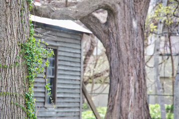 A view of Hokkaido University in Sapporo, Hokkaido, Japan.