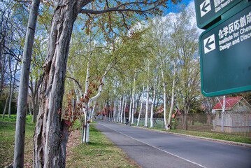 A view of Hokkaido University in Sapporo, Hokkaido, Japan.
