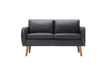 leather sofa isolated on white