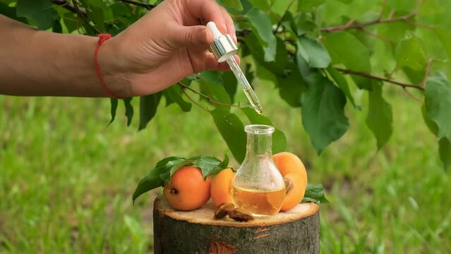 Apricot kernel oil in a bottle. Selective focus.