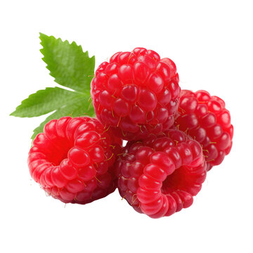 Delicious raspberry berries isolated on transparent background, png clip art, template for mark fruit flavor on label of product. 