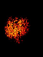 Flowers heart shaped fire