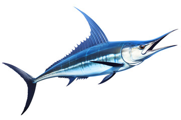 marlin fish illustration isolated on white background