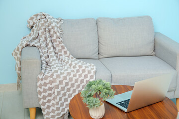 Grey sofa with cozy blanket and laptop on coffee table near blue wall