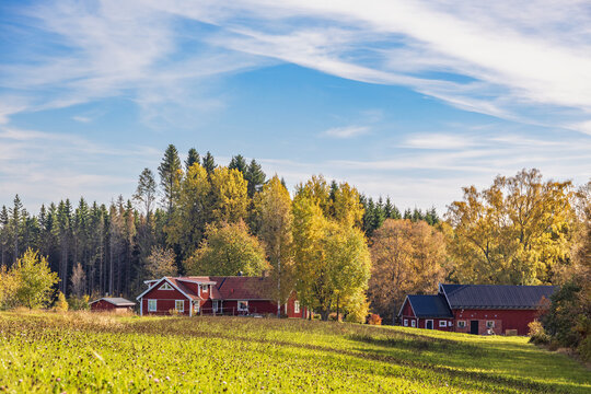 Idyllic old farm at the forest edge with beautiful autumn colors