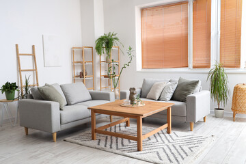 Interior of light living room with sofas, table and houseplants