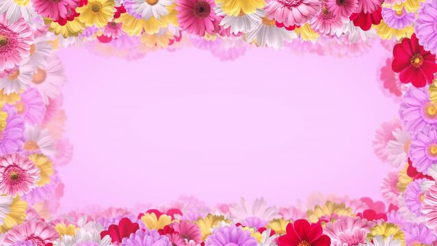 Greeting card, flowers frame on pink Background