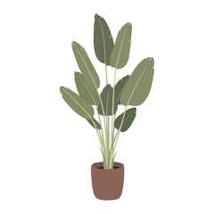 Houseplant in pot isolated. Vector flat style illustration