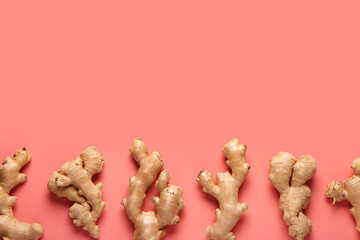 Fresh ginger roots on red background
