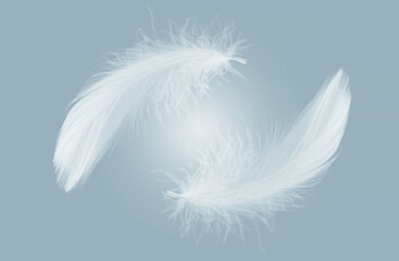 Abstract White Bird Feathers Falling in The Sky. Freedom, Feather Softness, Floating White Feather.	
