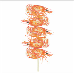 shrimp illustrations art.