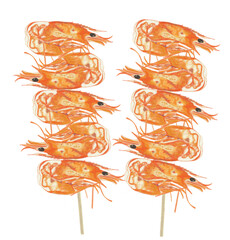 shrimp illustrations art.