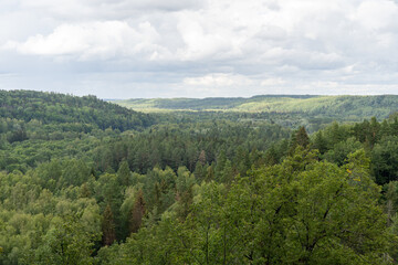 View from Paradizes kalns or Gleznotajkalns over Gauja Valley in Sigulda, Latvia