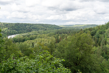 Fototapeta premium View from Paradizes kalns or Gleznotajkalns over Gauja Valley in Sigulda, Latvia
