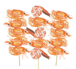 shrimp illustrations art.