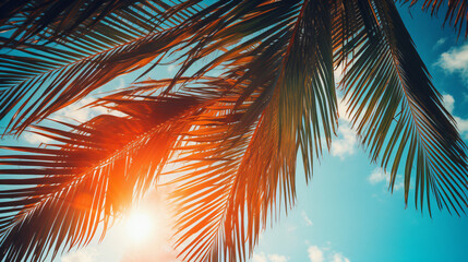 Fototapeta na wymiar Beautiful palm leaves on sunset against blue sky