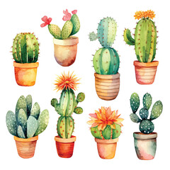 Watercolor set of cacti and succulent plants isolated on white background. Flower illustration for your projects, greeting cards and invitations.