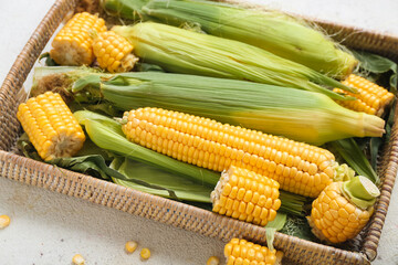 Wicker basket with fresh corn cobs on white table