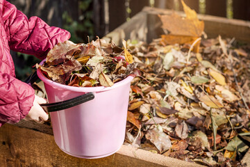 Composting. Autumn clean up. Compost Bin from Fallen Autumn Leaves in Garden. Recycling Autumn...