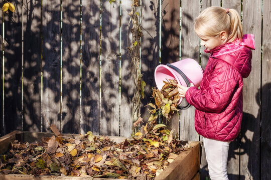Compost Autumn Leaves. Little Girl Kid Throwing Fallen Yellow Leaves in Compost bin. Recycling Autumn Leaves into Compost Bio Humus Fertilizer. Cleaning Garden Waste in Autumn.