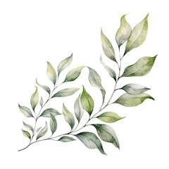 leaves and branches ,watercolor style,invitation card element.Created with Generative AI technology