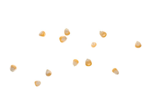 Flying corn kernels isolated on white background