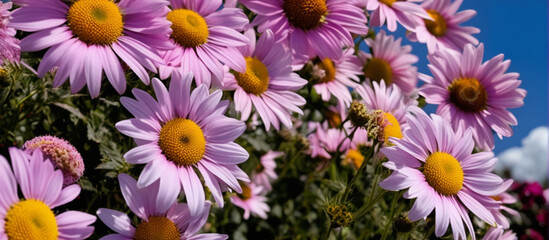 Flower bouquet colorful background for wallpaper