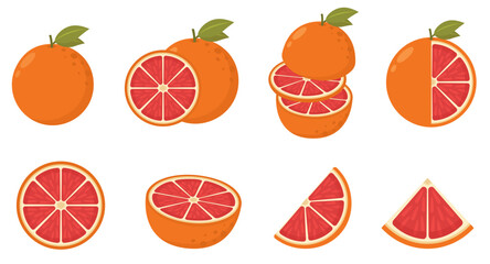 Illustration of red grapefruits in halves and wedges with its leaves isolated on white background. Grapefruit fresh slices set. 