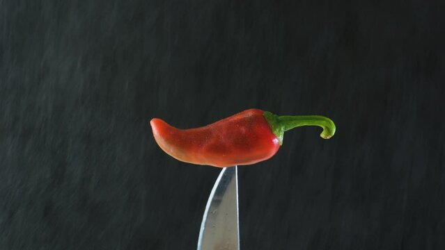 A red jalapeno chili on a knife being delicately misted until it's covered by a few drops of water