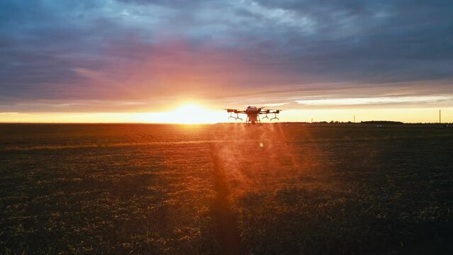 agricultural drones fly into the sunset over the field and spray fertilizer view from above 4k
