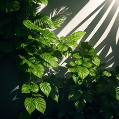 Natural Elegance: A Visual Symphony of Light, Shadows, and Patterns, leaves background